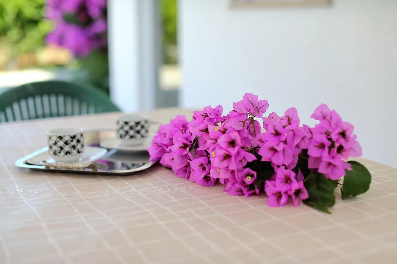 Apartman Naomi Bibinje Apartment